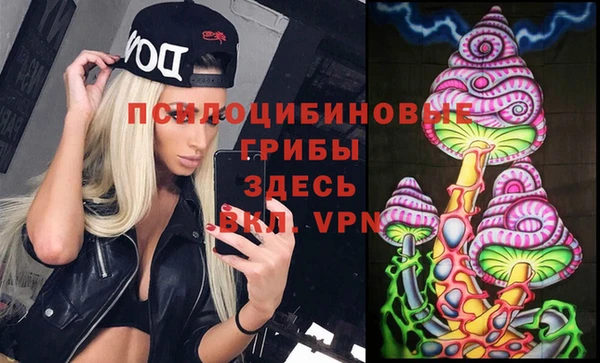 МДПВ Ростов