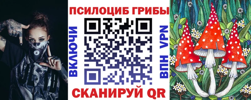 Псилоцибиновые грибы Psilocybine cubensis  Тырныауз 